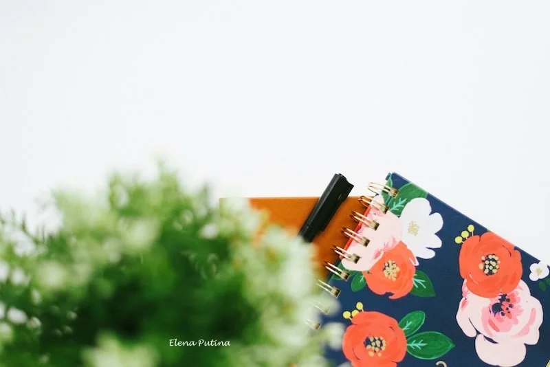 Journals and a plant.