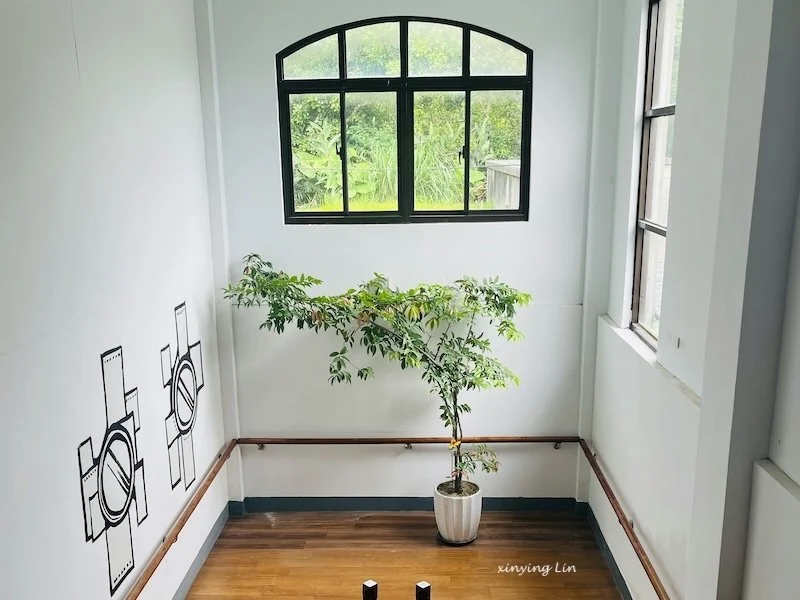 A minimalist hallway with a plant