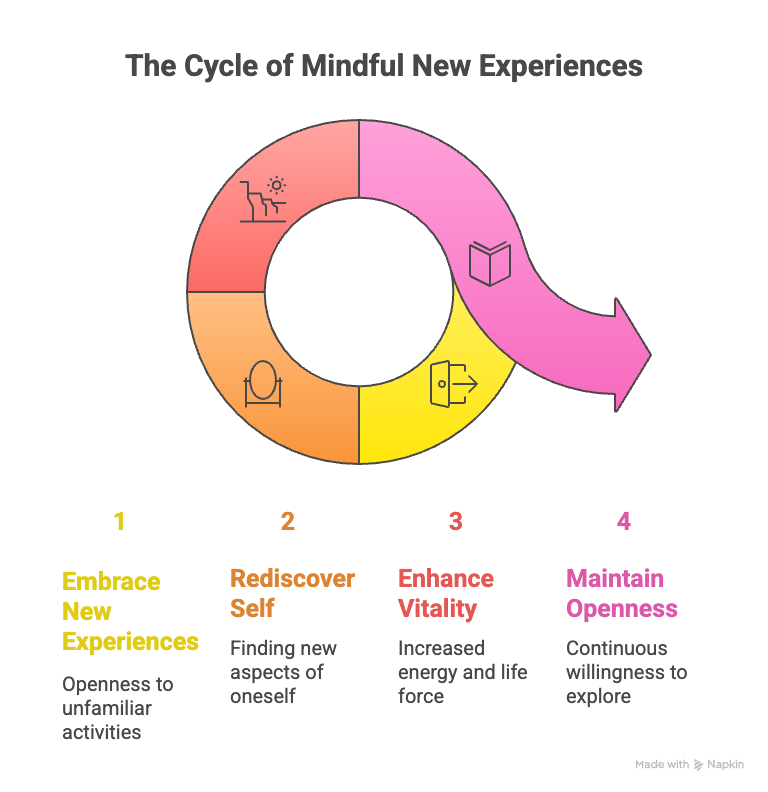 An infographic about the cycle of mindful new experiences.