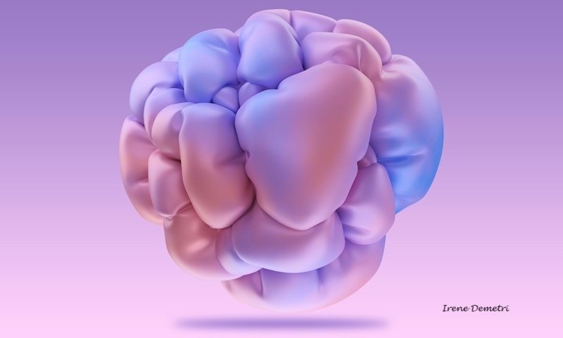 A blue and pink pillow brain.