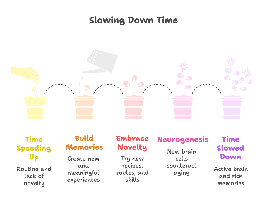 An infographic about slowing down time.