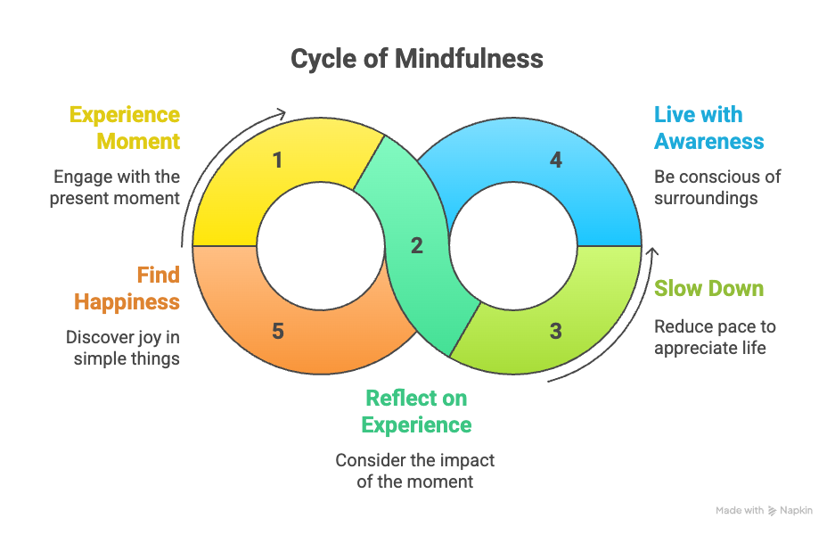 An infographic about the cycle of mindfulness.