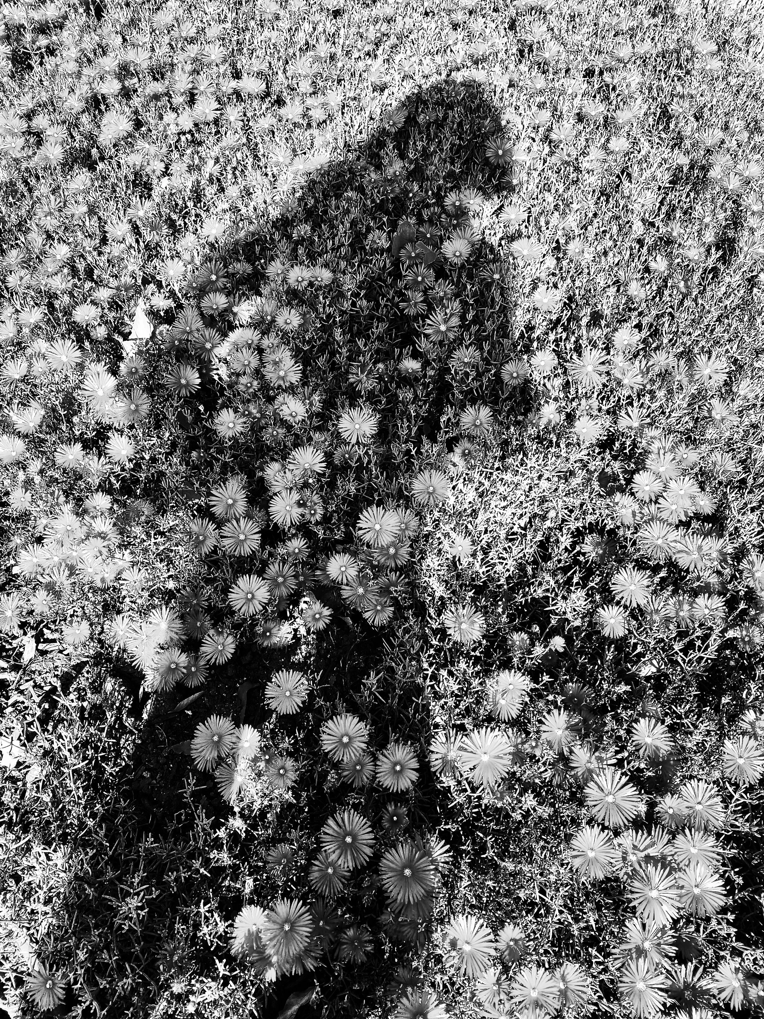 FullSizeRender 16.JPG