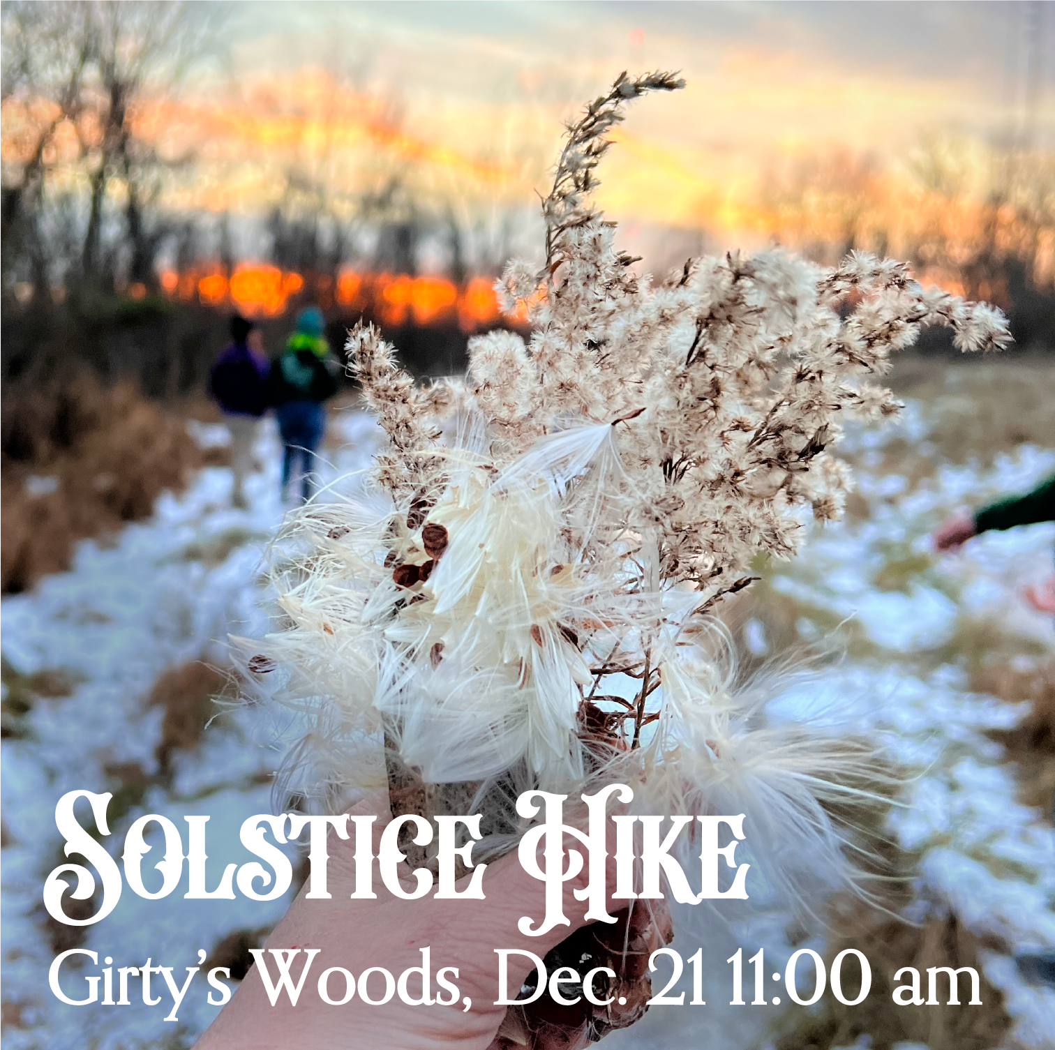 Girty’s Woods Solstice Hike