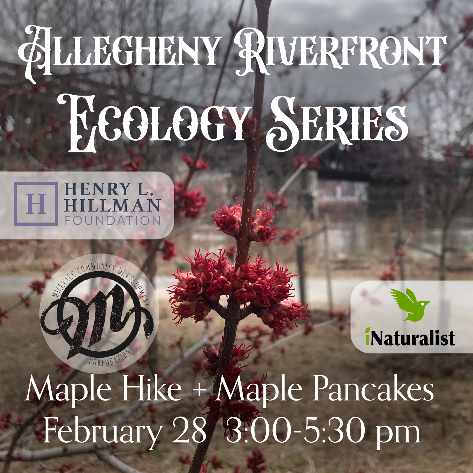 Riverfront Ecology Series Allegheny Maple Hike + Pancakes