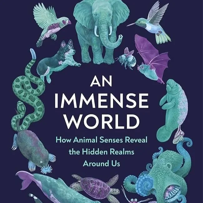 An Immense World: Discussion Evening