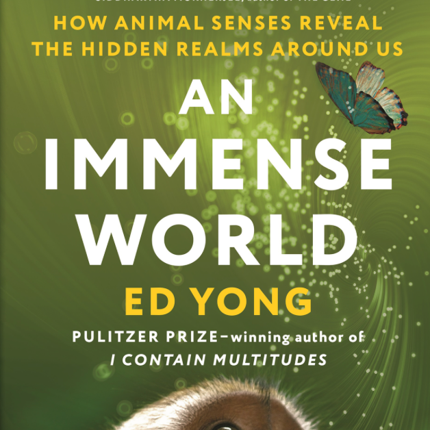 An Immense World: Discussion Evening