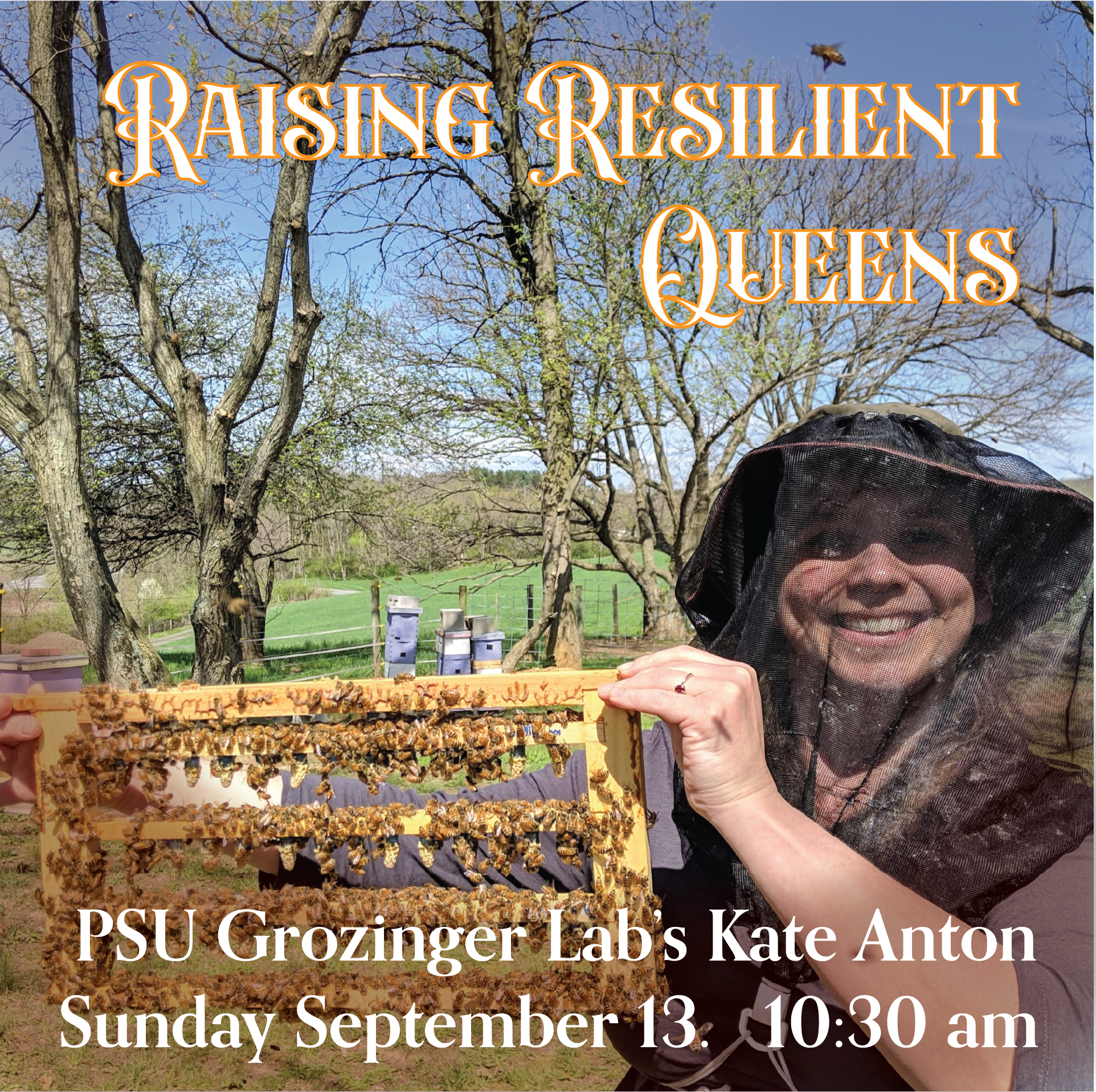 Raising Resilient Queens: Lecture by PSU Grozinger Lab's Kate Anton