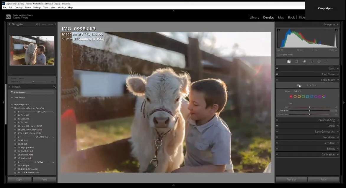 A young boy in a light gray shirt is leaning close to a white calf with light brown spots, touching noses, in a farm setting with sunlight and a wooden fence in the background.