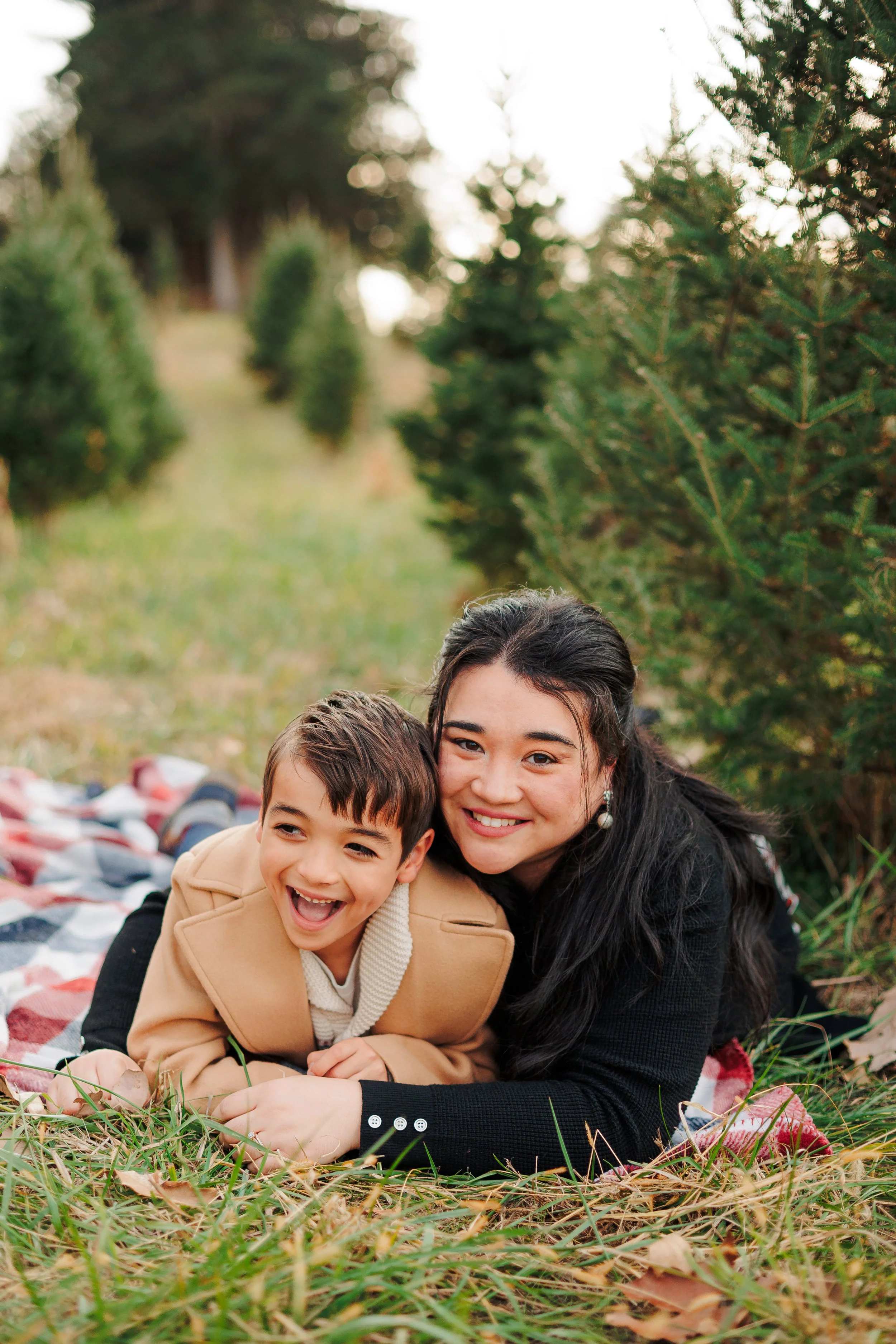 AshleyChristmasMinis2025 (39 of 85).JPG