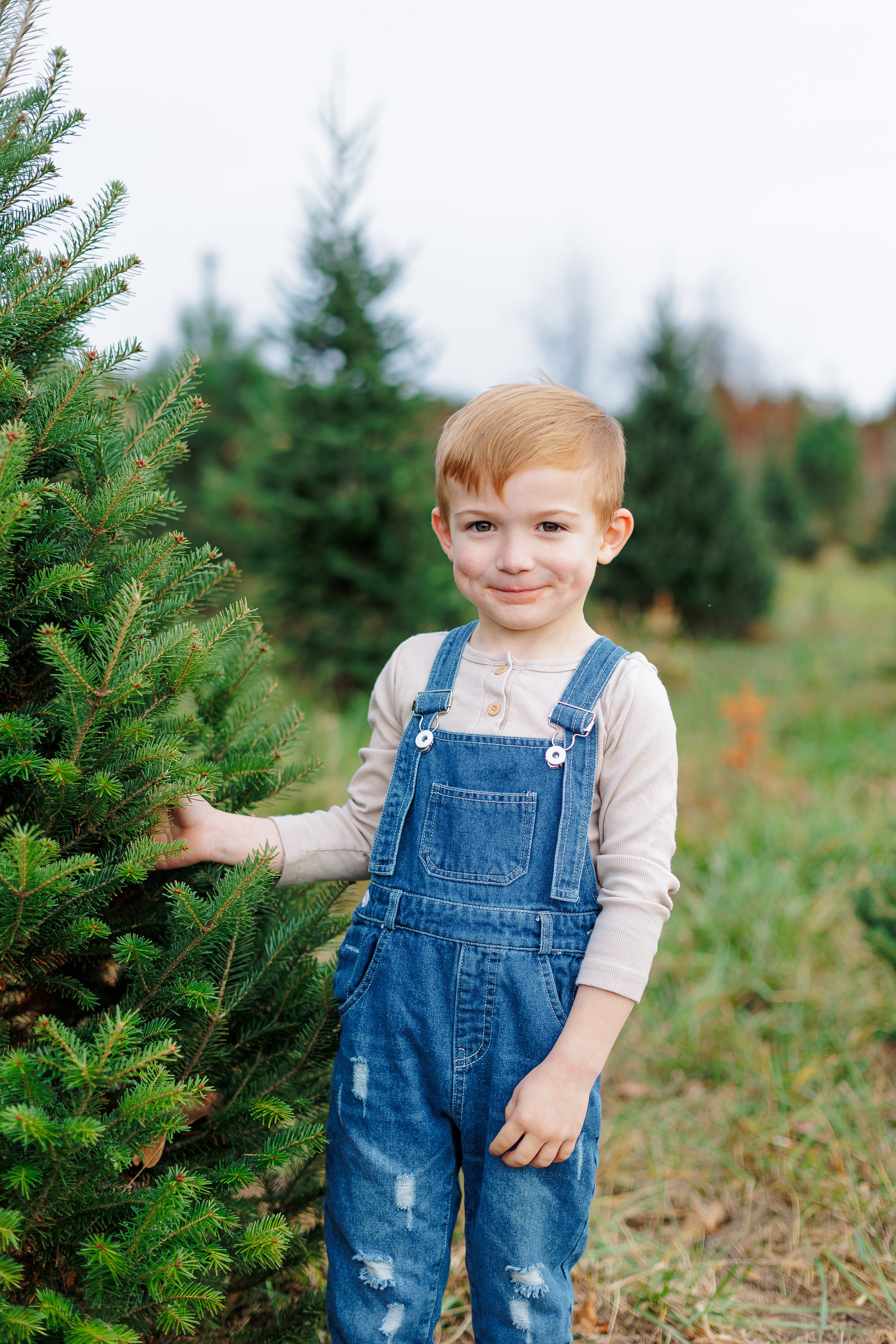 JamieBeckChristmasMinis2025 (56 of 68).JPG
