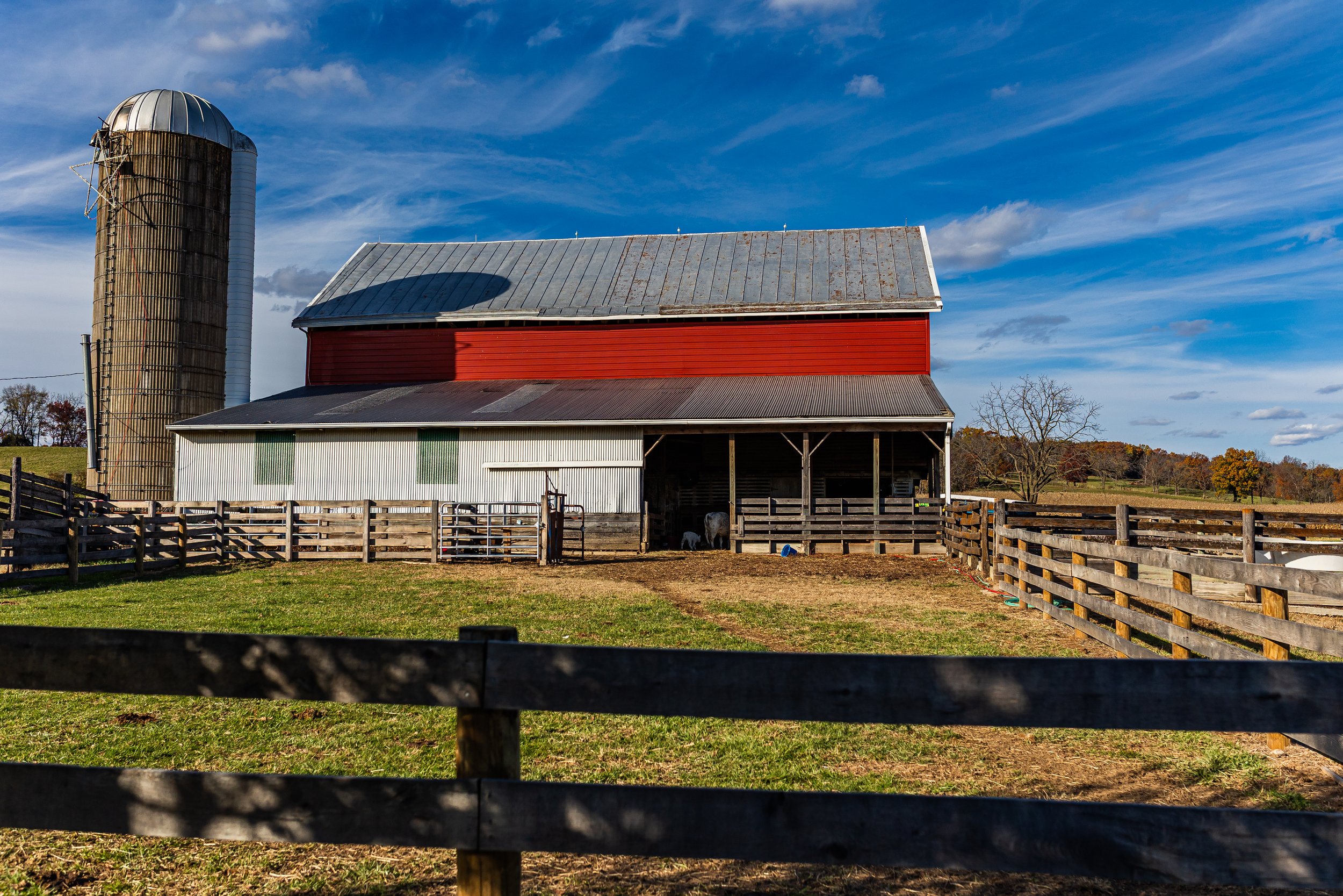 A farm scene with a large red barn, a silo on the left, and fenced area with a goat in front of the barn, under a blue sky with few clouds.