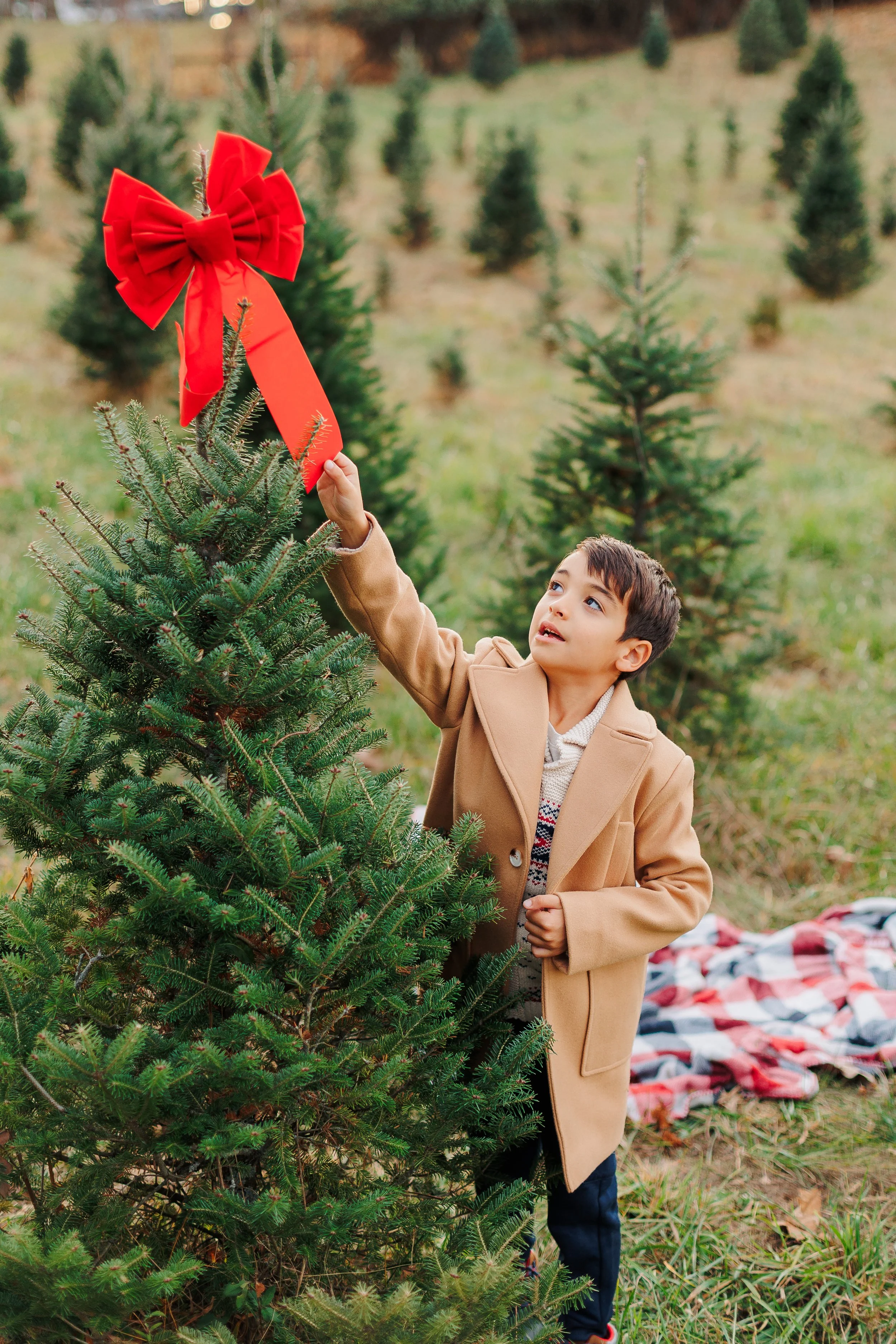 AshleyChristmasMinis2025 (16 of 85).JPG
