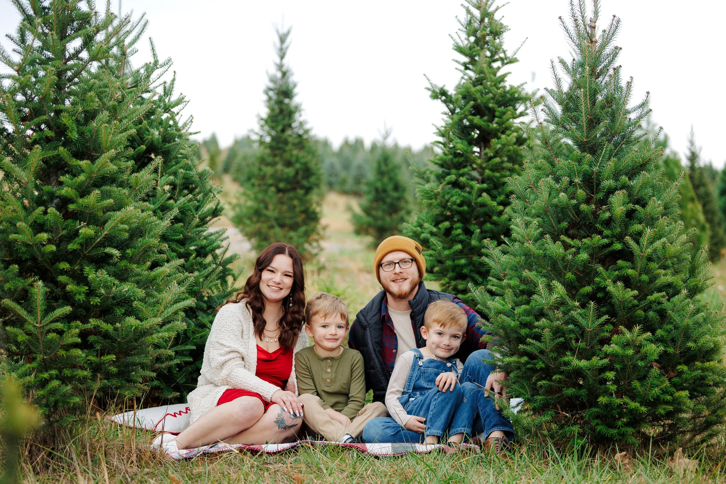 JamieBeckChristmasMinis2025 (2 of 68).JPG