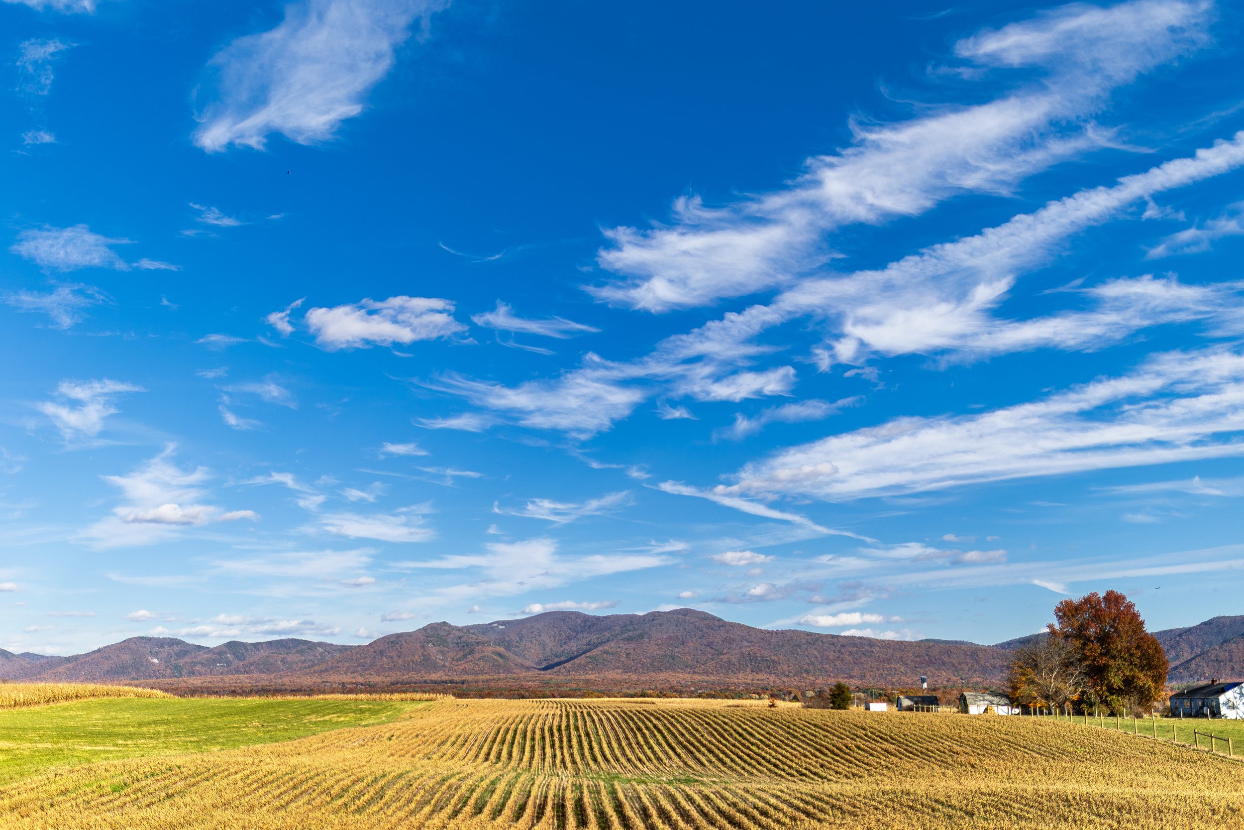 A scenic rural landscape with golden crop fields, a cluster of farm buildings, and a tree with autumn-colored leaves, set against a backdrop of rolling hills and a bright blue sky with wispy white clouds.