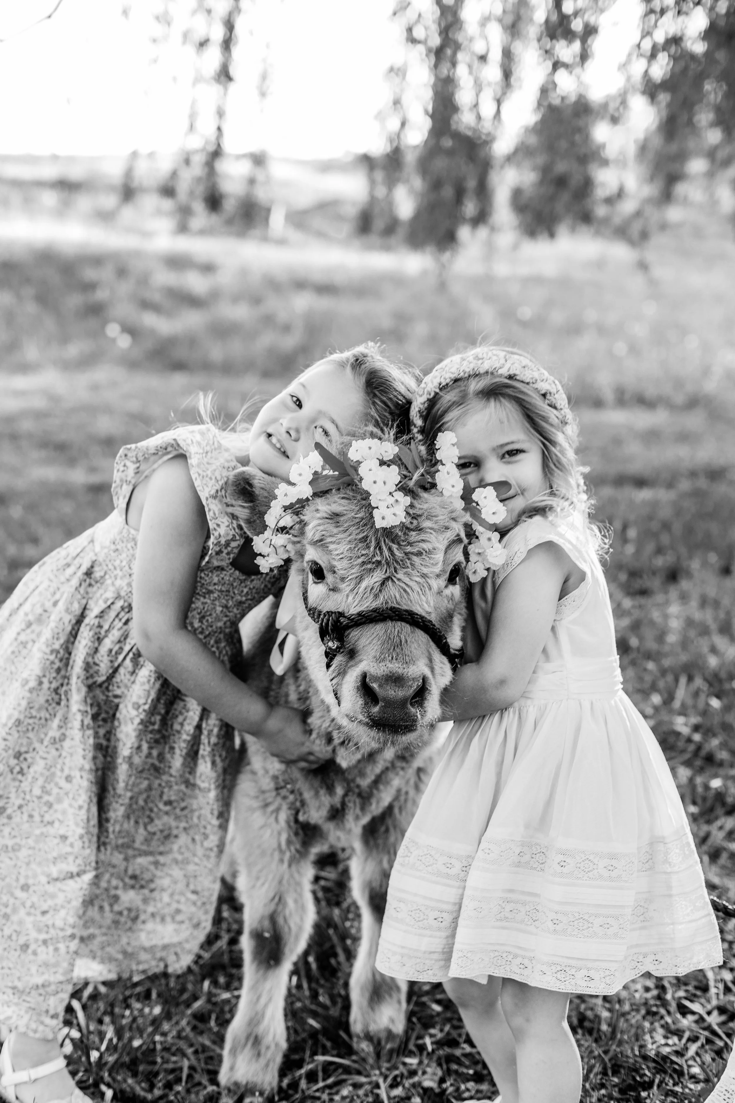 Two smiling young girls in dresses hugging and posing with a decorated calf outdoors in a grassy field.
