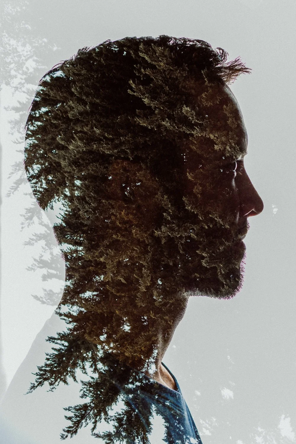 CollinsFamilyShadowPortraits-5.jpg