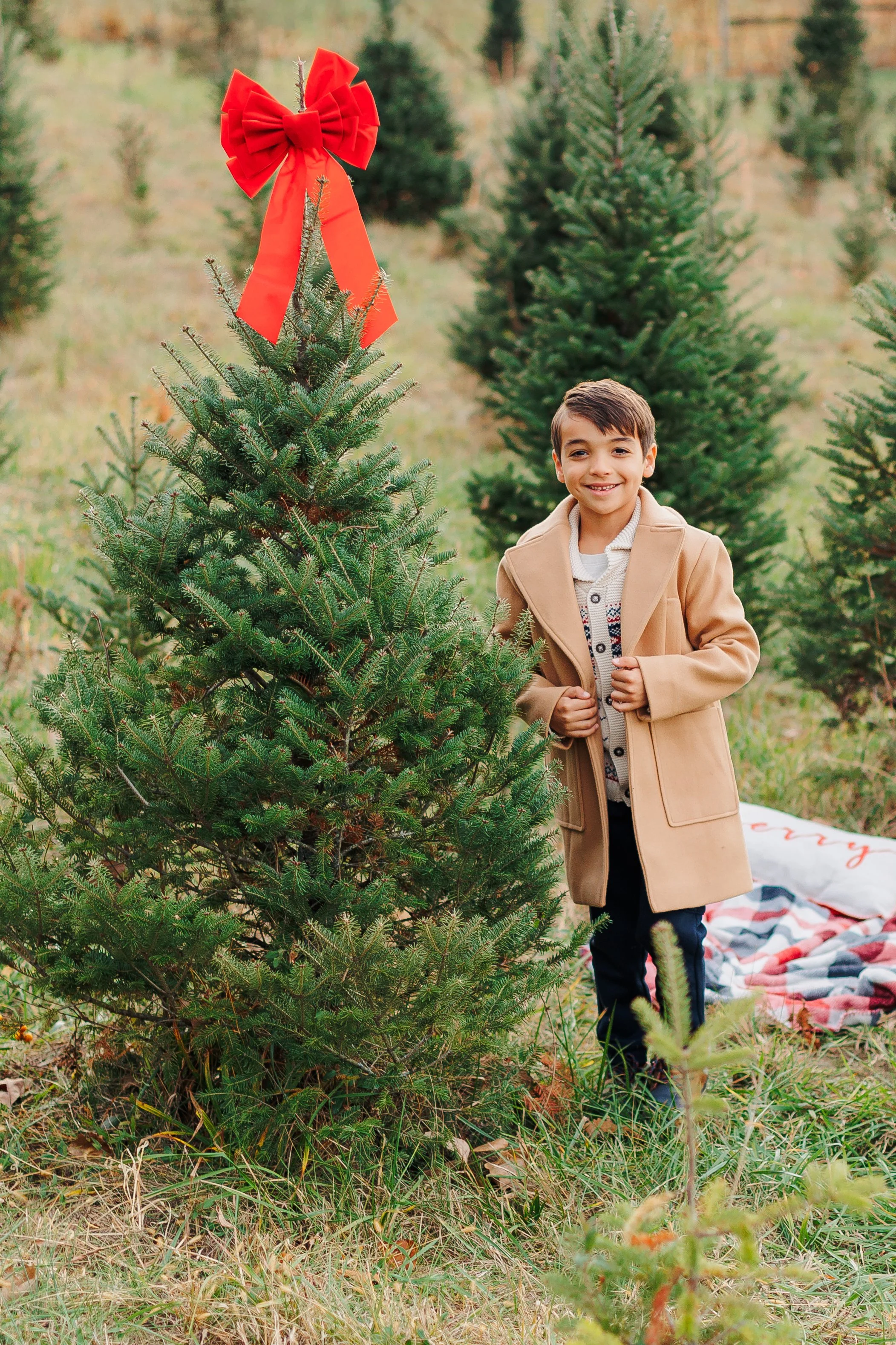 AshleyChristmasMinis2025 (12 of 85).JPG
