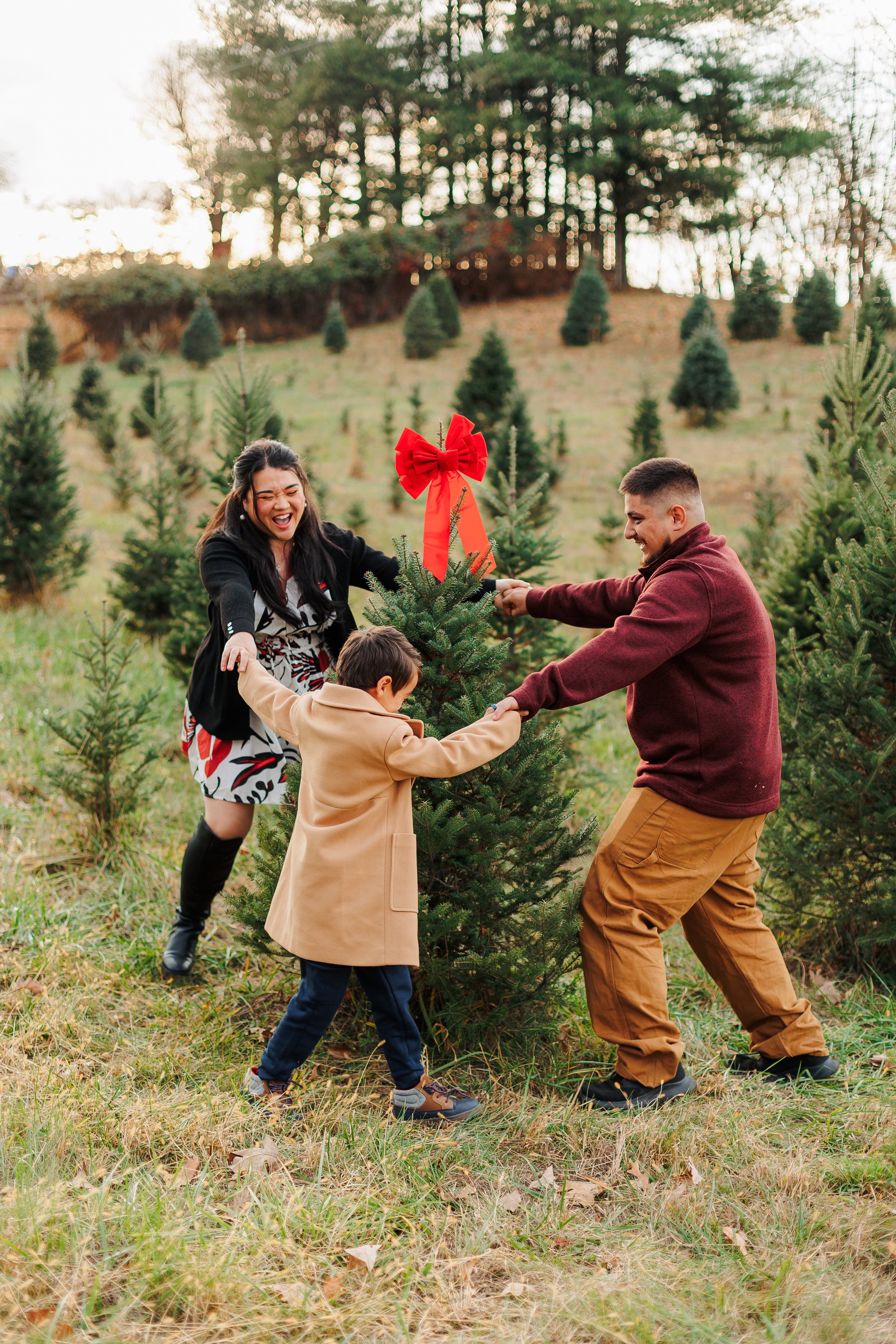 AshleyChristmasMinis2025 (31 of 85).JPG