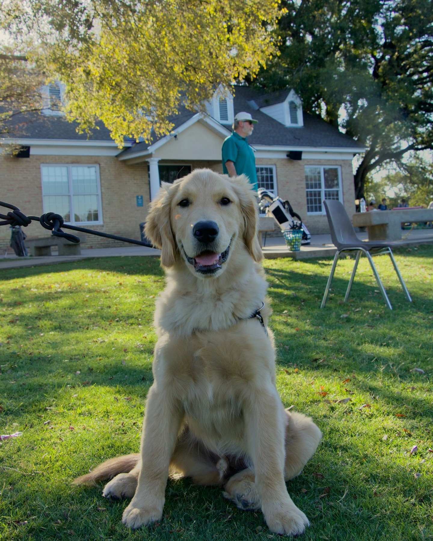 Pups are ALWAYS welcome at Muny! 🐾 (leashed of course)

#SaveMuny #MunyConservancy #LionsMunicipalGolfCourse #ImagineMuny