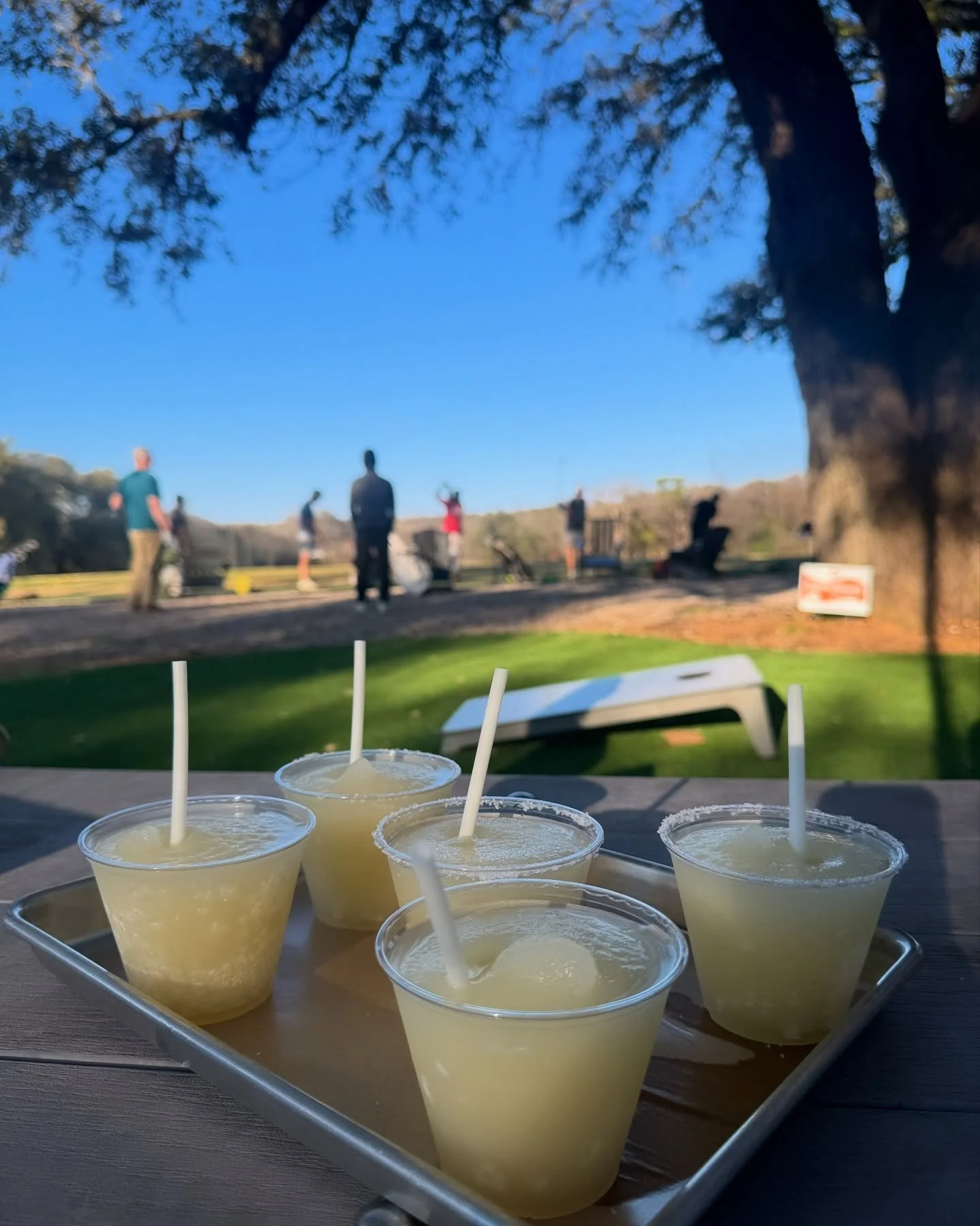 Happy National Margarita Day to all who celebrate 🍋&zwj;🟩🍹 It's a wonderful day to visit @ciscosmunycafe!!

#LionsMunicipalGolfCourse #SaveMuny #NationalMargaritaDay #Ciscosmunycafe