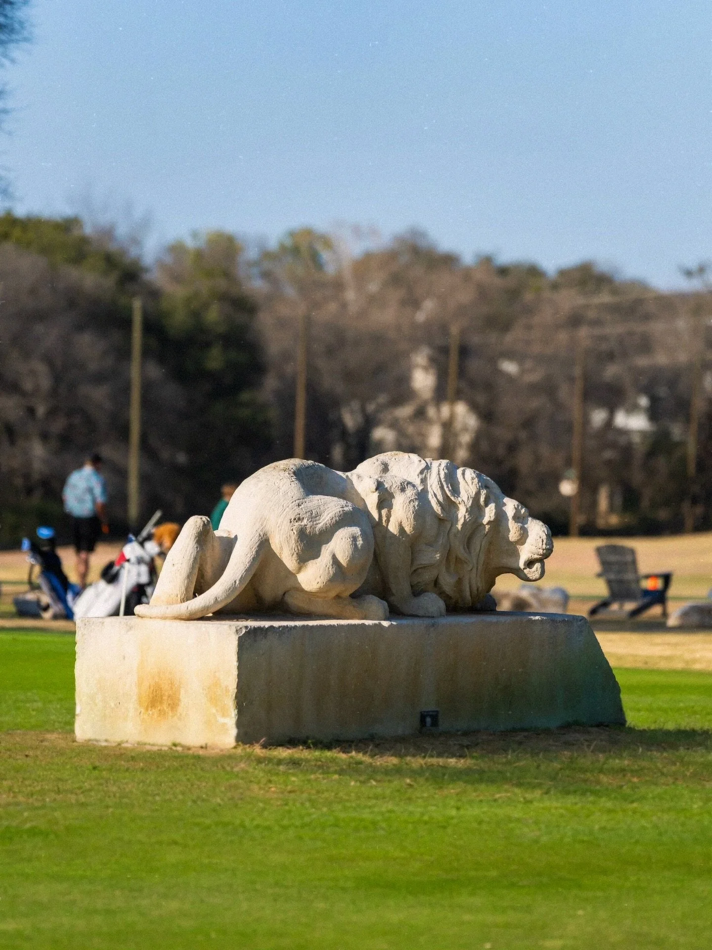 An Austin original ⛳️🌳 Built from rich history, timeless fairways, heritage trees, and a whole lot of heart &mdash; Lions Municipal Golf Course is more than a course 💚 

#SaveMuny #MunyConservancy #LionsMunicipalGolfCourse #ImagineMuny
