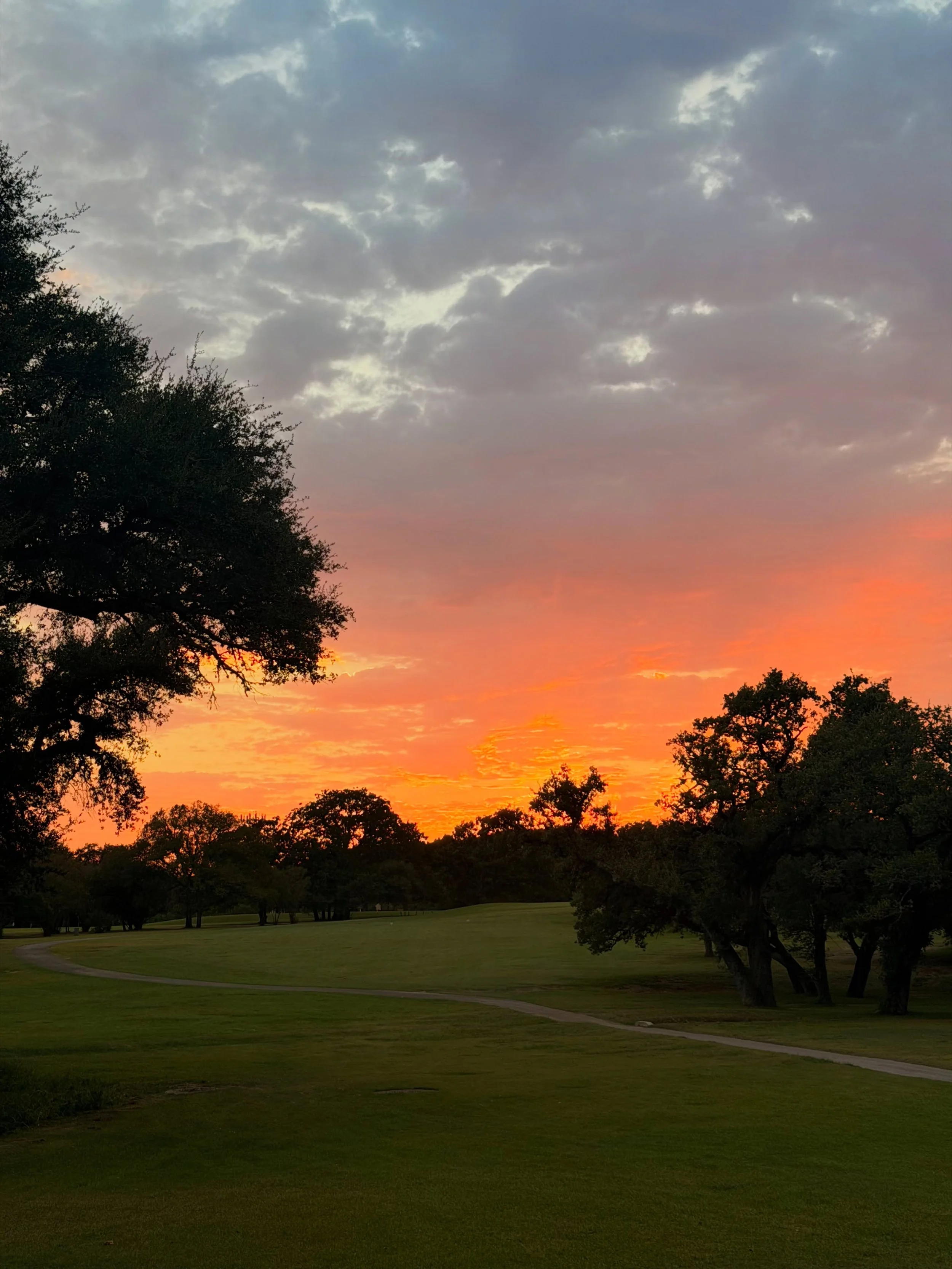 Muny sunsets >