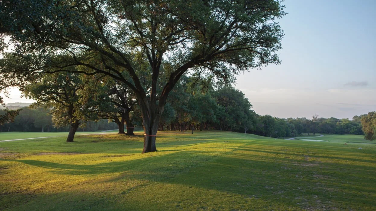 Lions Municipal Golf Course — course photography