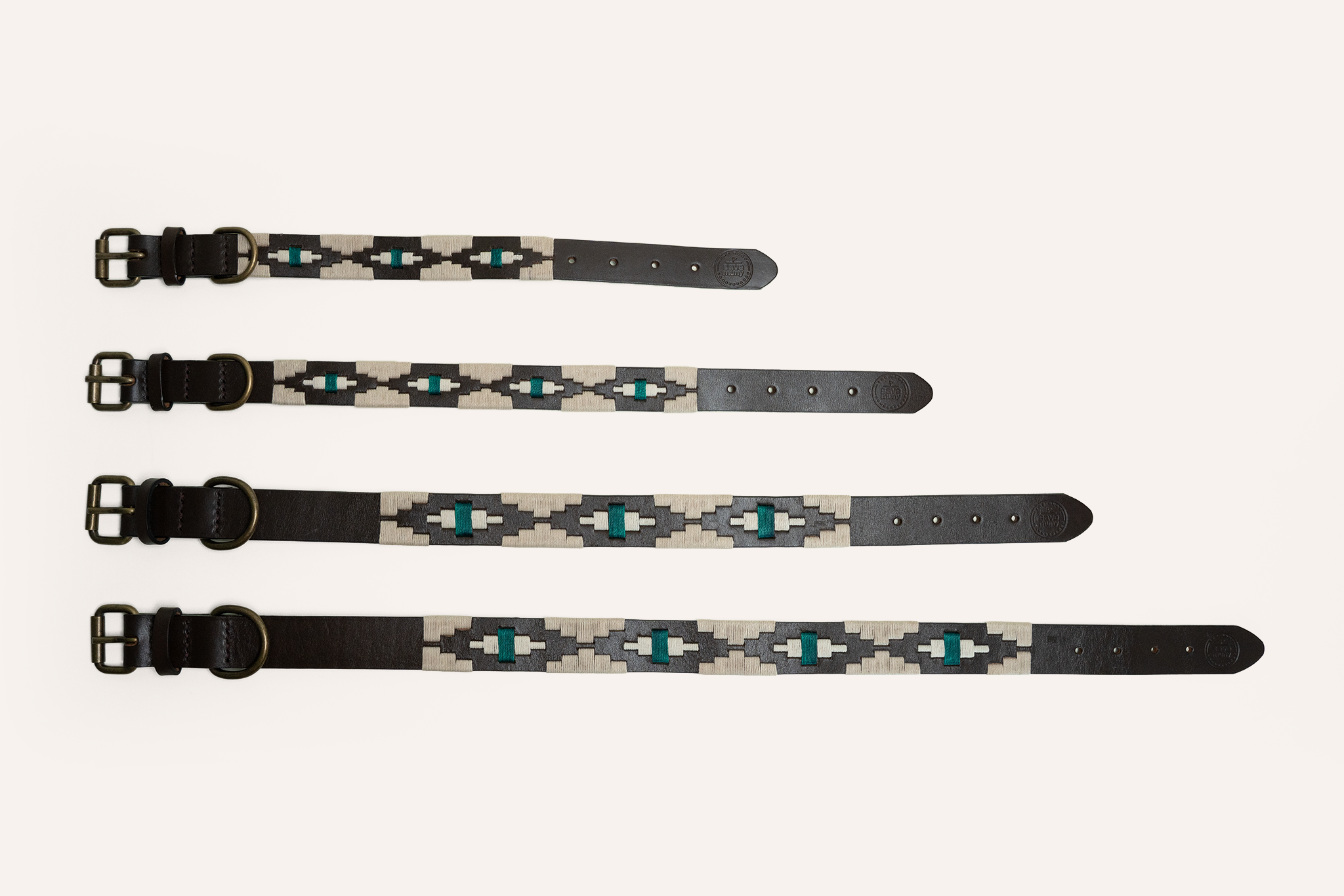Imagine MUNY Dog Collar 3.png