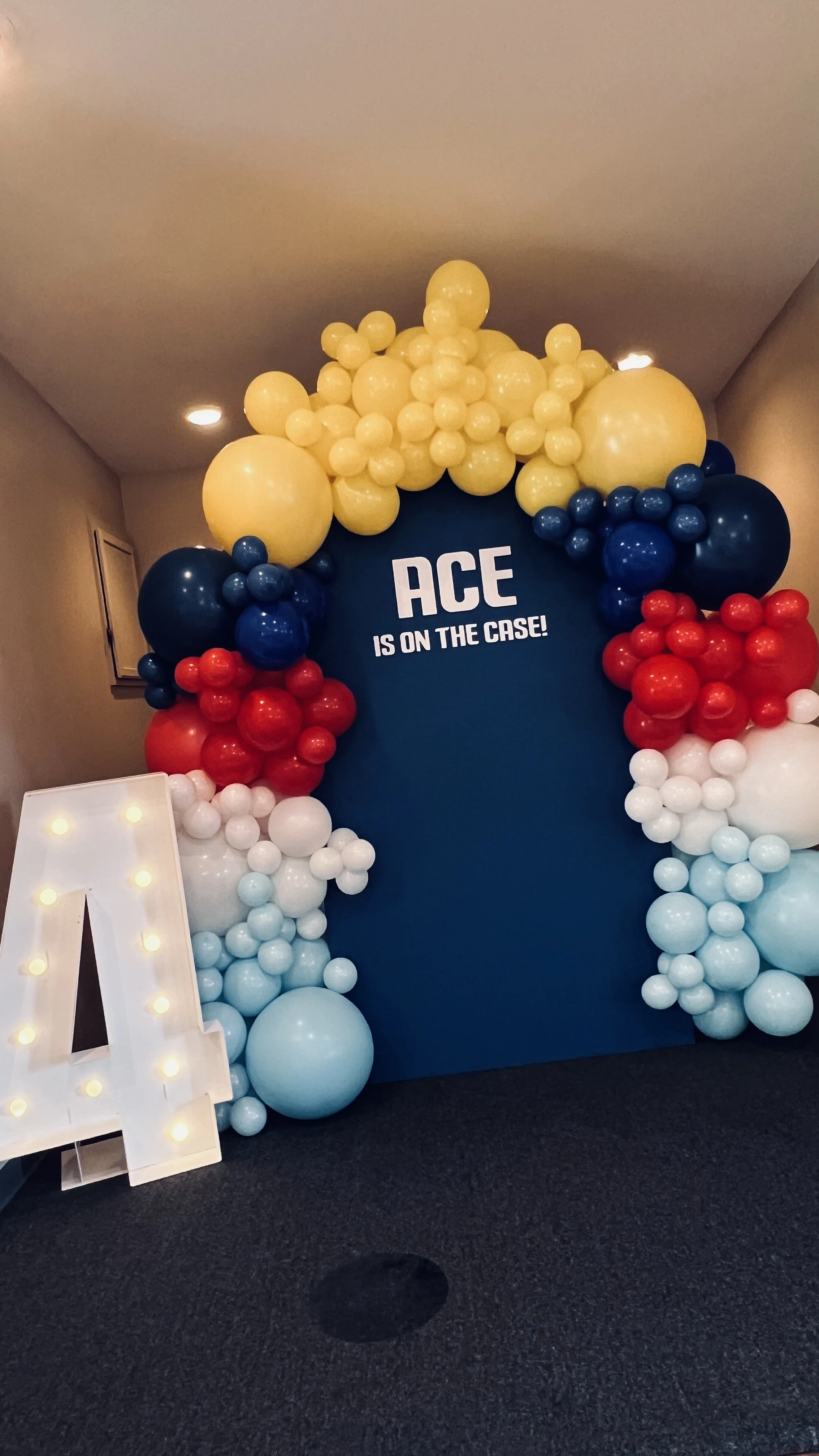 Backdrops+Balloons-Ace-4th-birthday_5.4.25_03.JPG