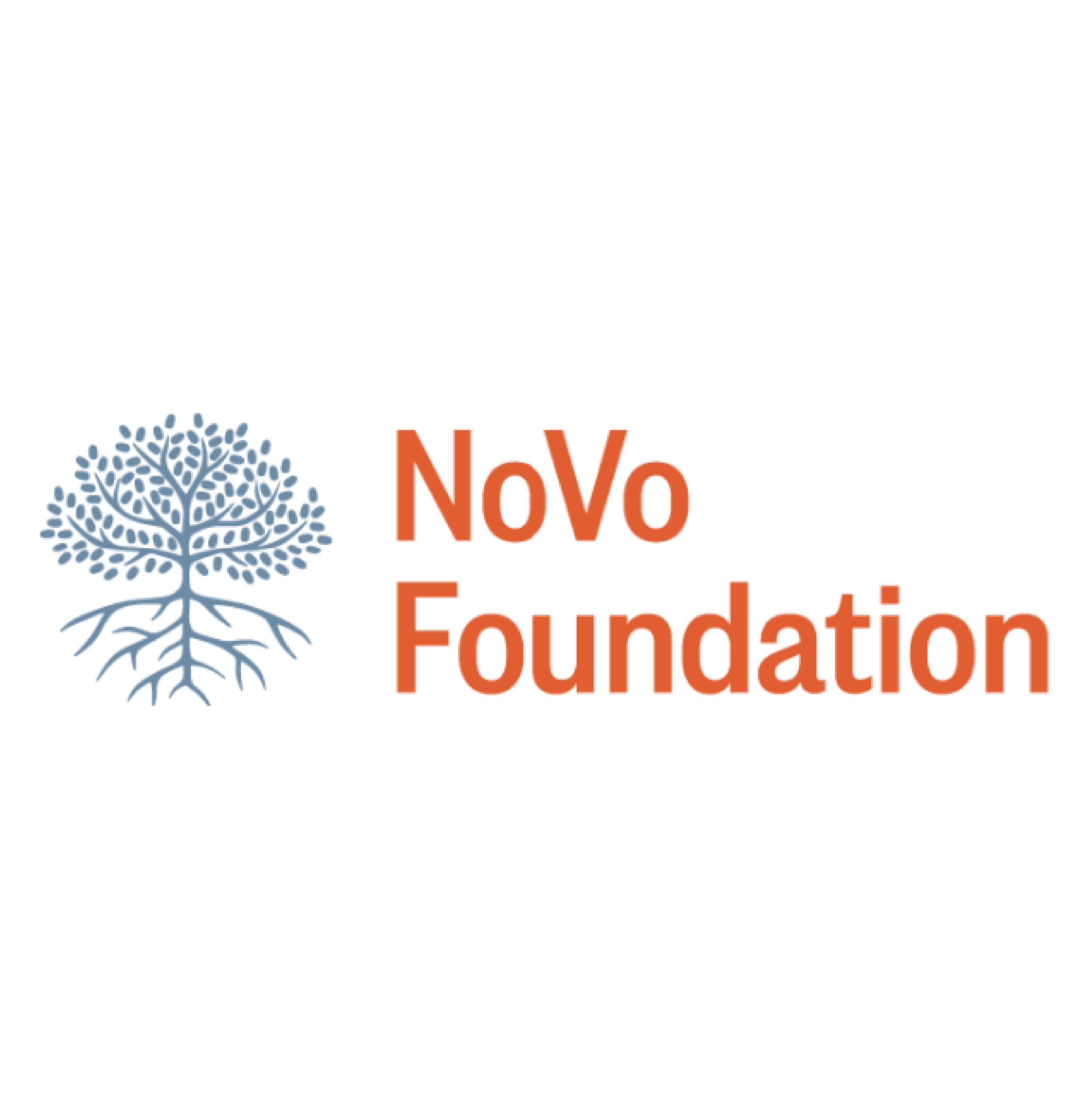 3.3 and 4.1 NoVo Foundation_cropped.jpg