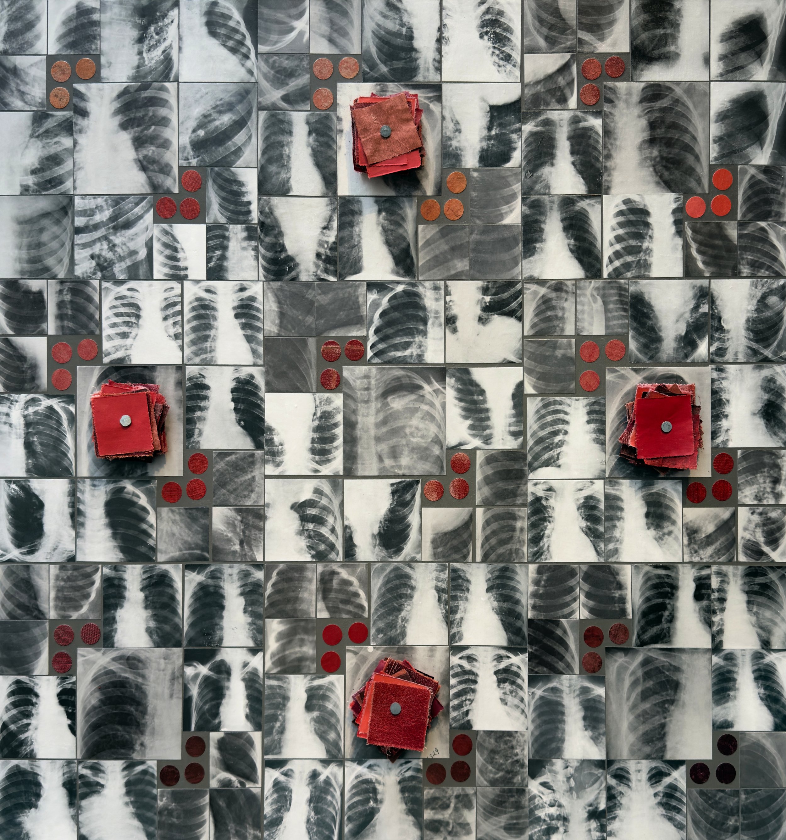 PROPITIATION ~ Assemblage with chest X-rays from books, book cloth, nails on birch panel ~ 30 x 30 x 2.5 in