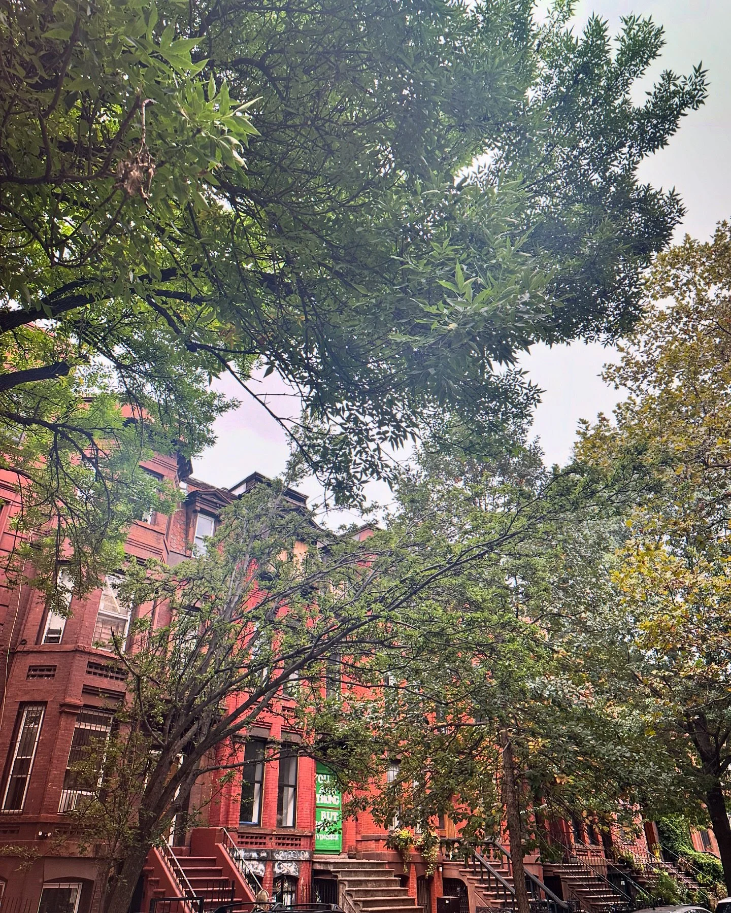 Brooklyn era beginneth