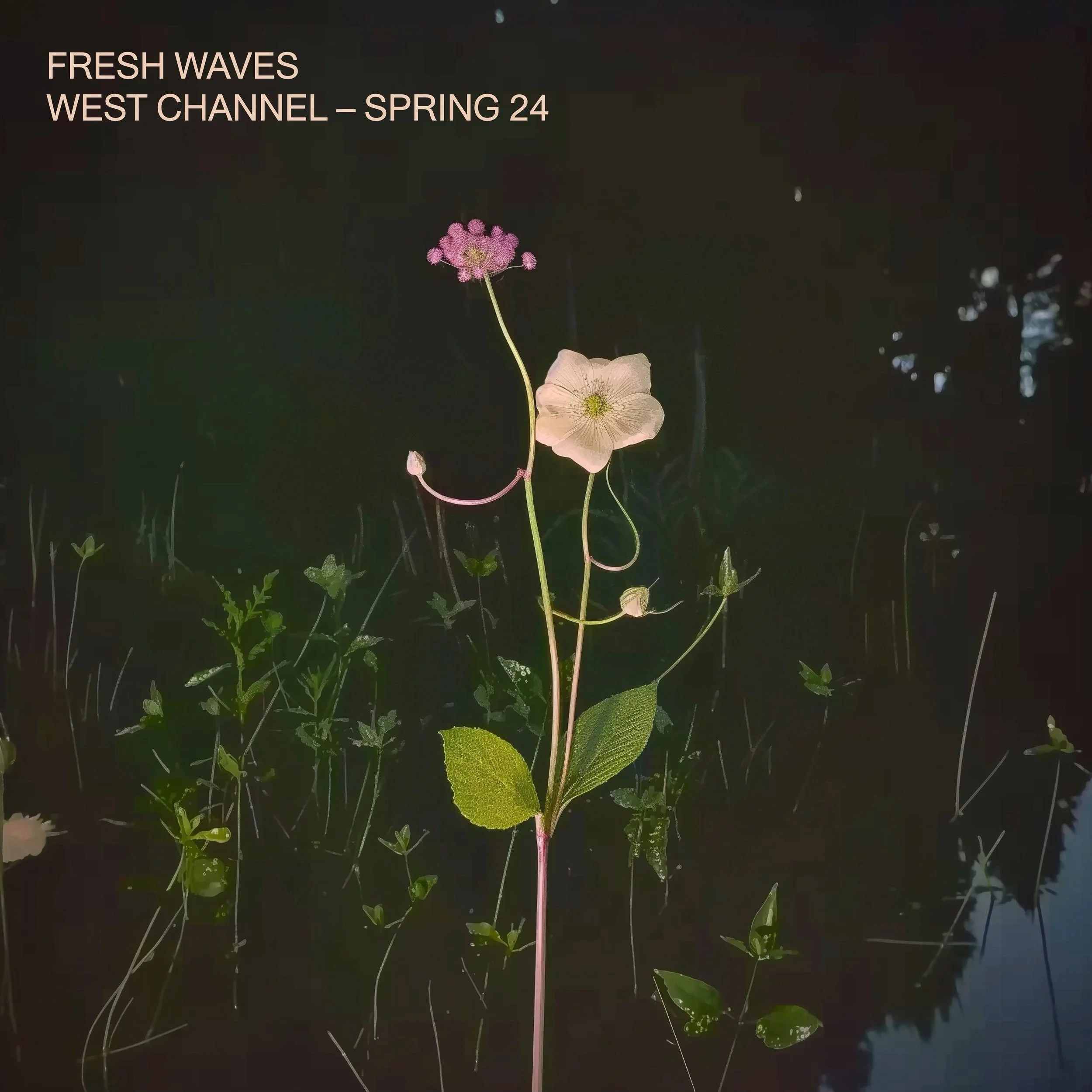 Every quarter we put these out and I&rsquo;m just so honored and buoyed creatively to be working with these incredible musicians at @westchannel 

This playlist rules. Put it on for ear pleasurings, but also if you work in media of any kind I can bet