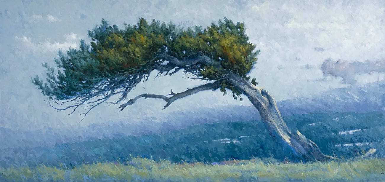 Above It All 84 x 40