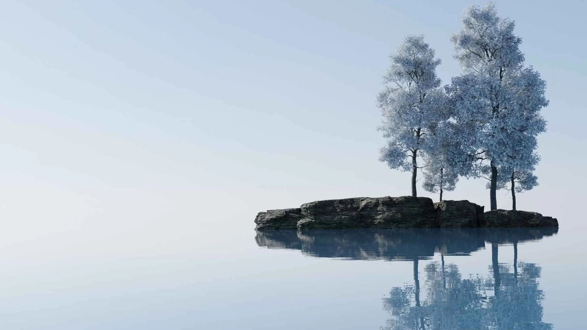 trees on island on lake
