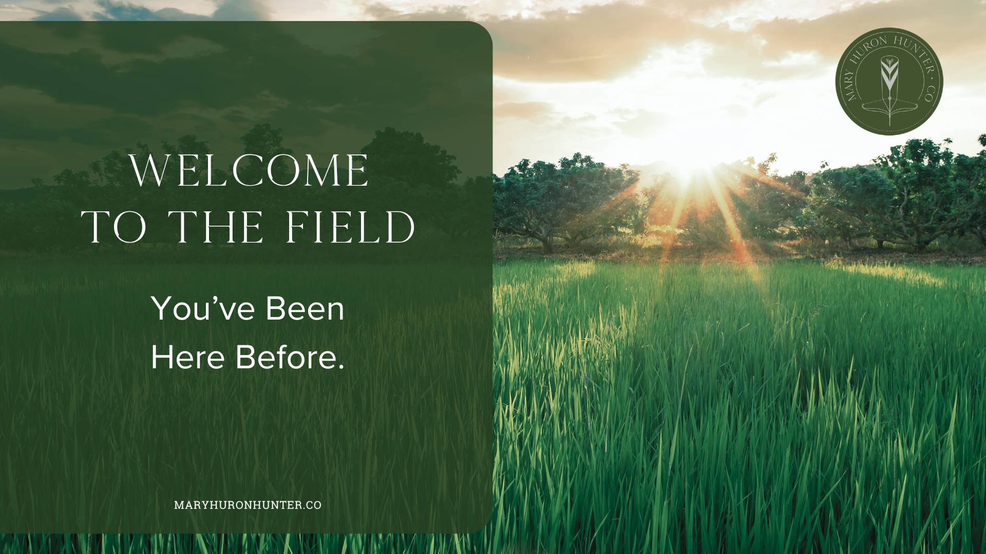 The Field blog header