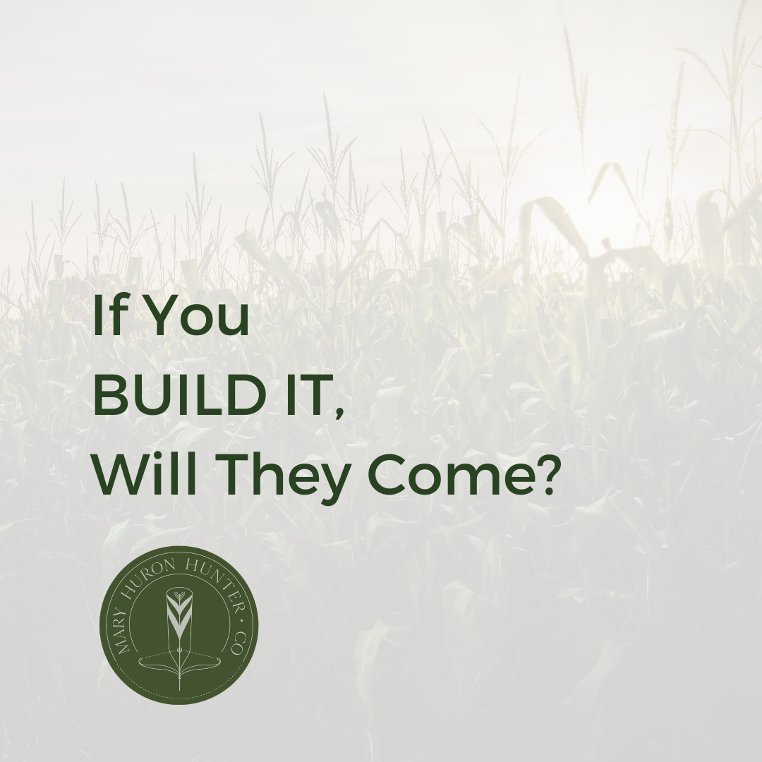 If You Build It, Will They Come?