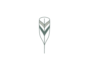 green feather graphic