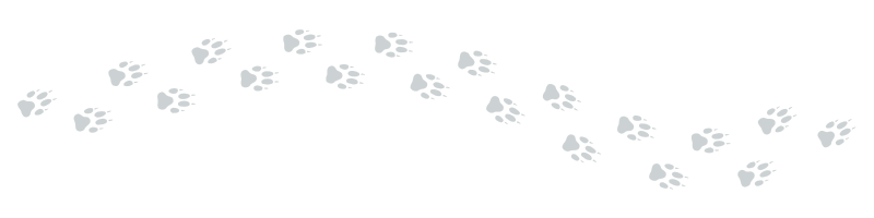 wolf prints
