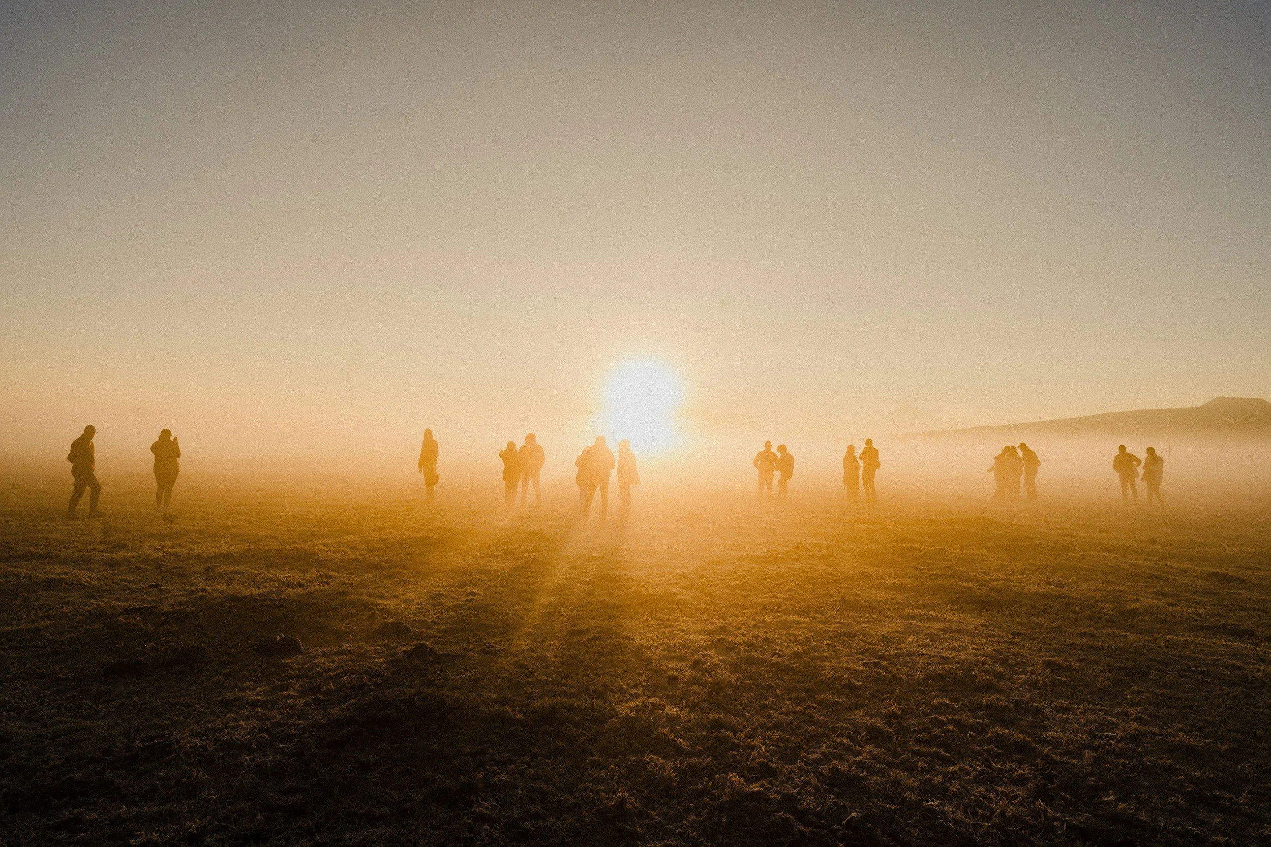people in the field