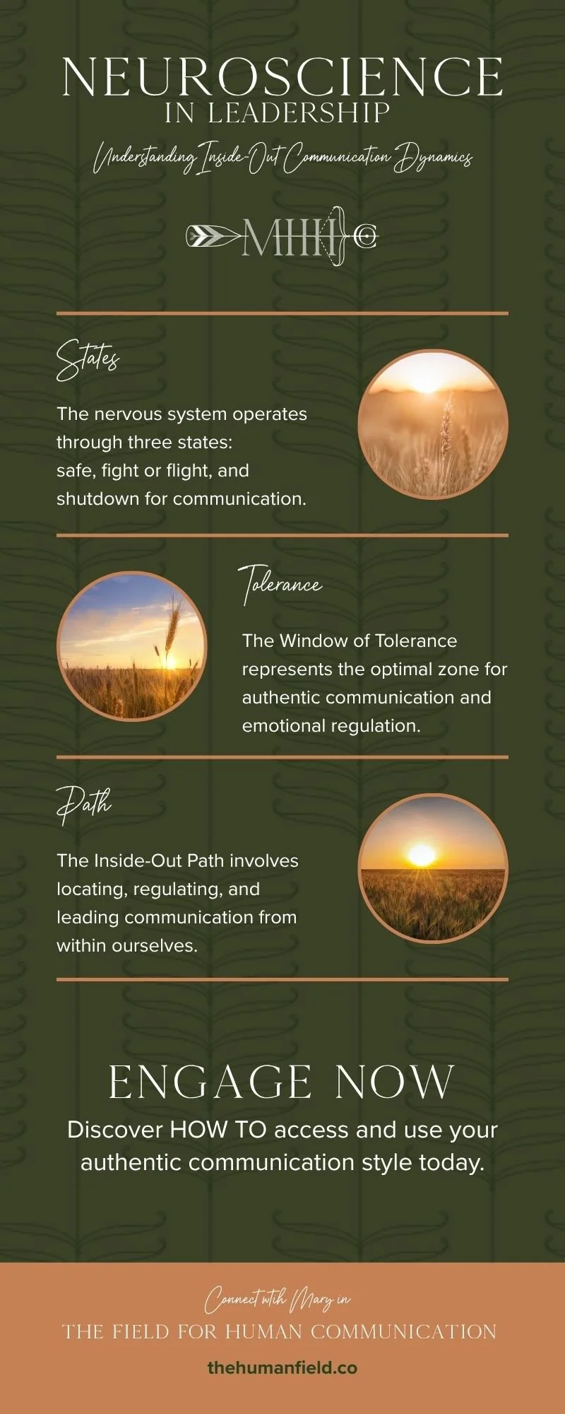 neuroscience infographic