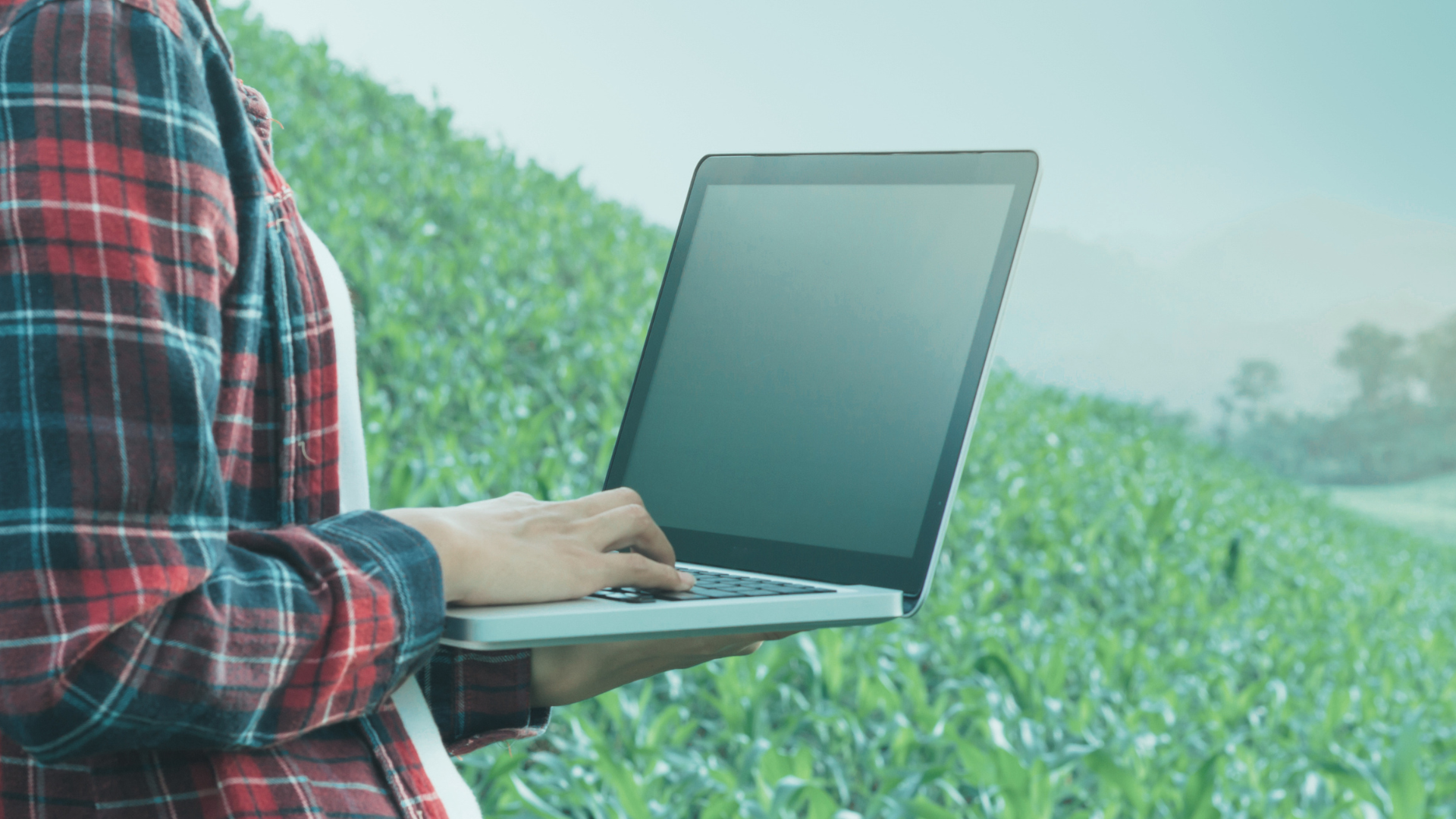 woman in field with laptop