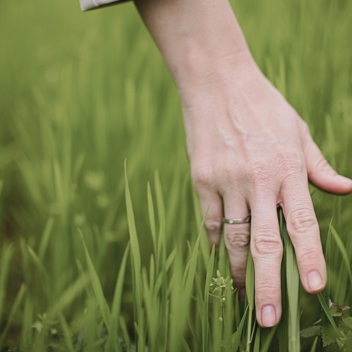 somatic leadership hand