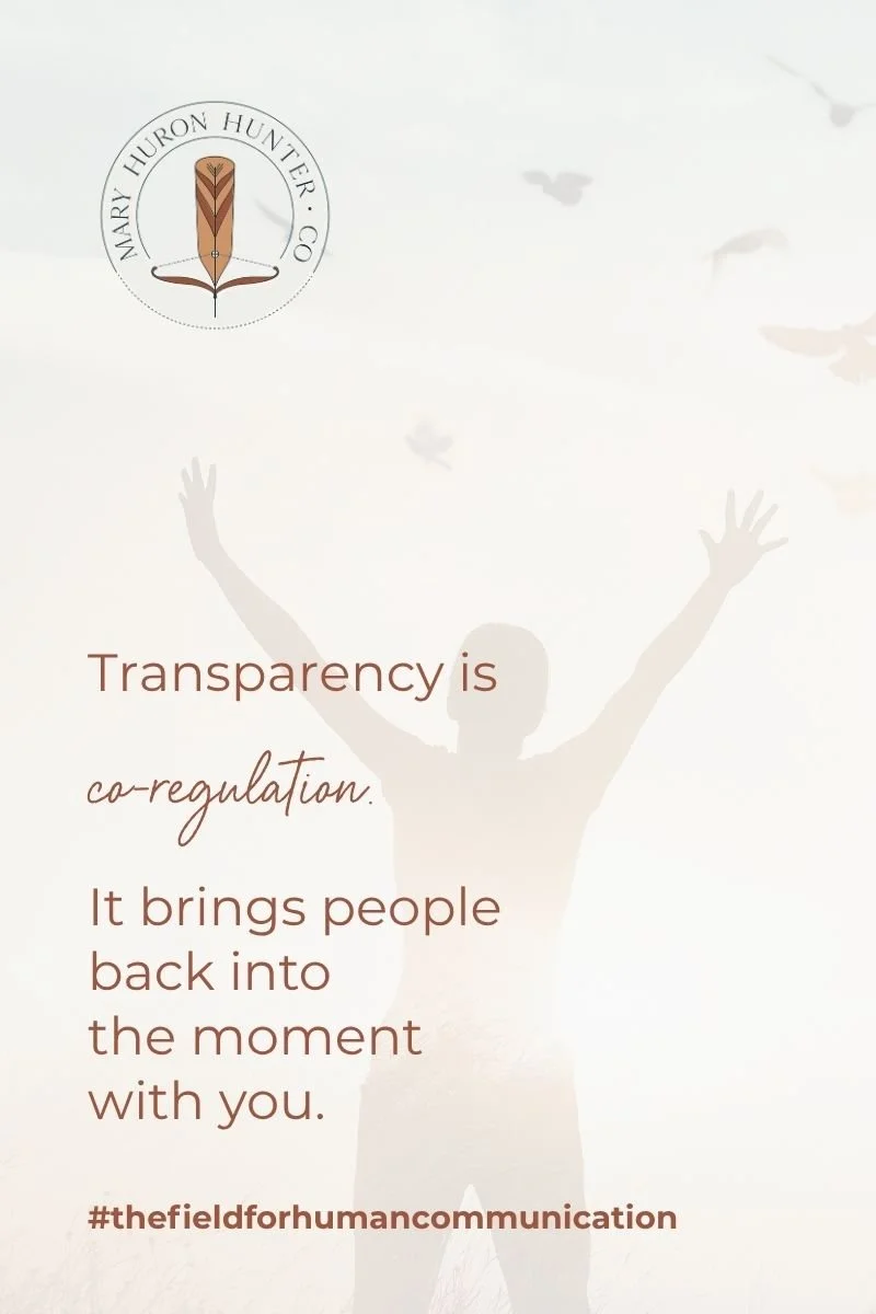 transparency graphic
