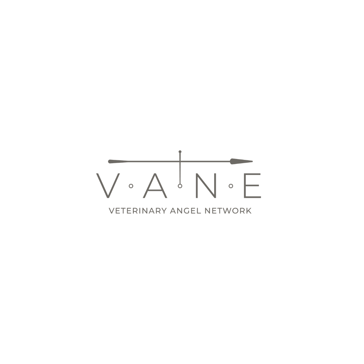 VANE logo
