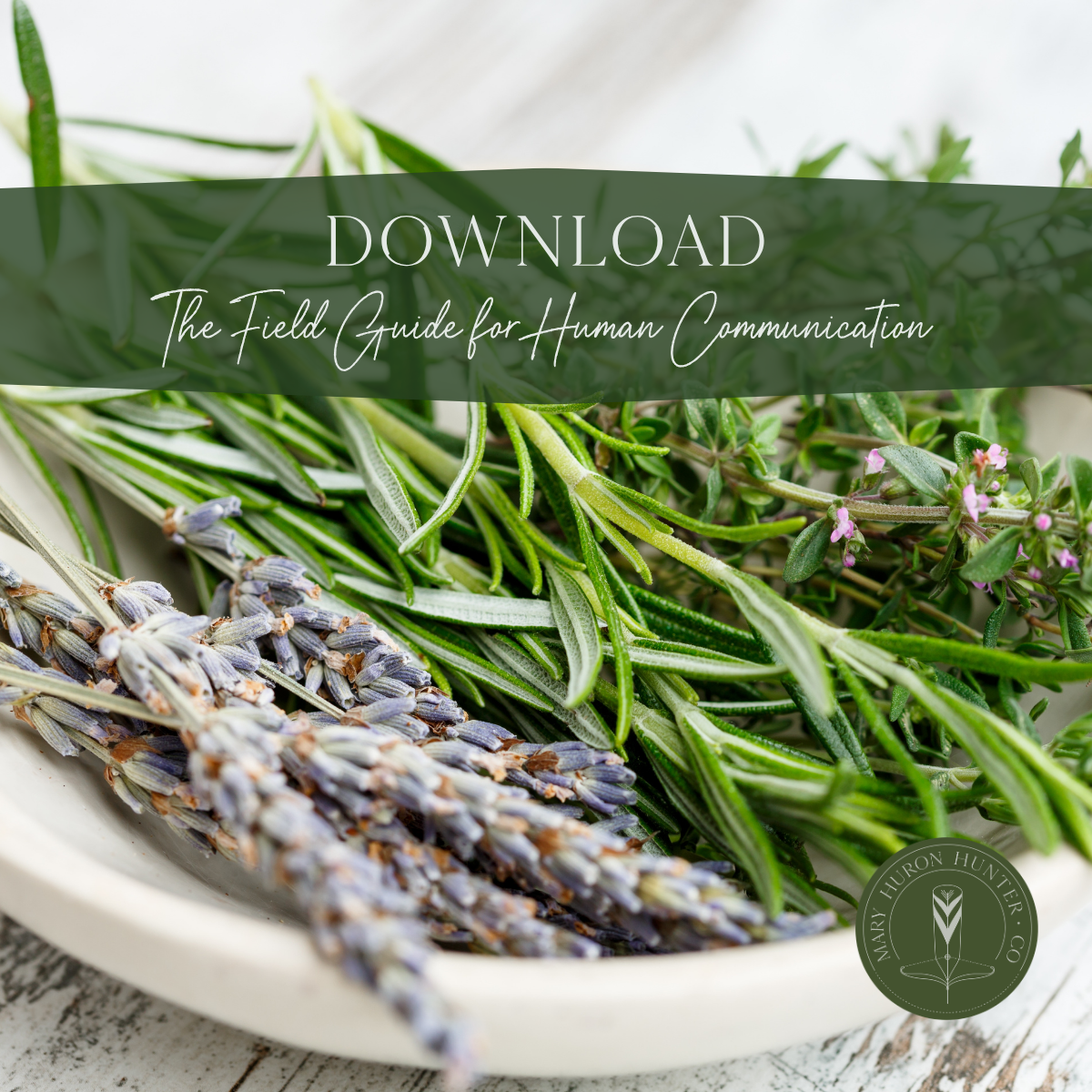 field guide download graphic