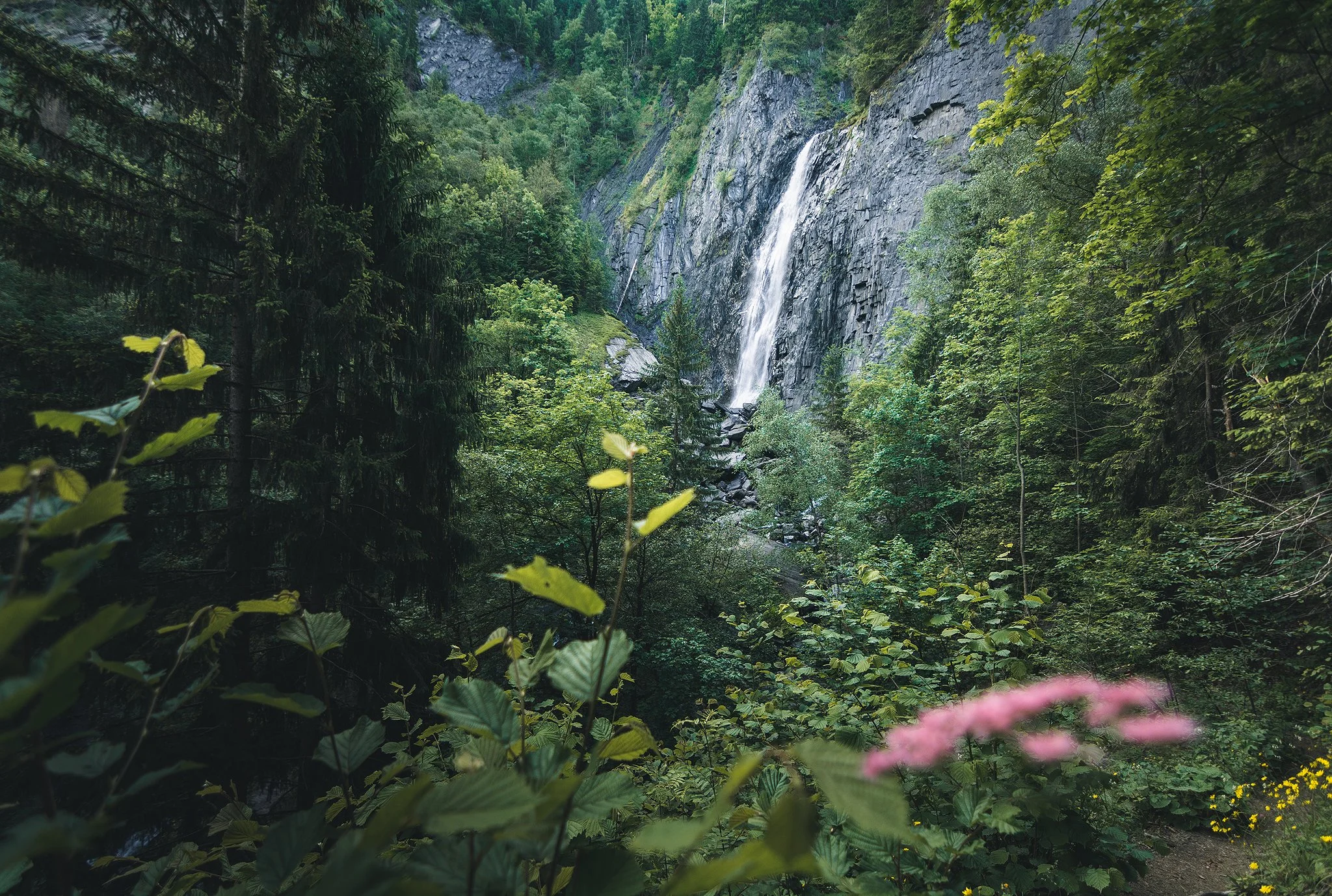 Les Alpes - Cascade de la Muzelle.jpg