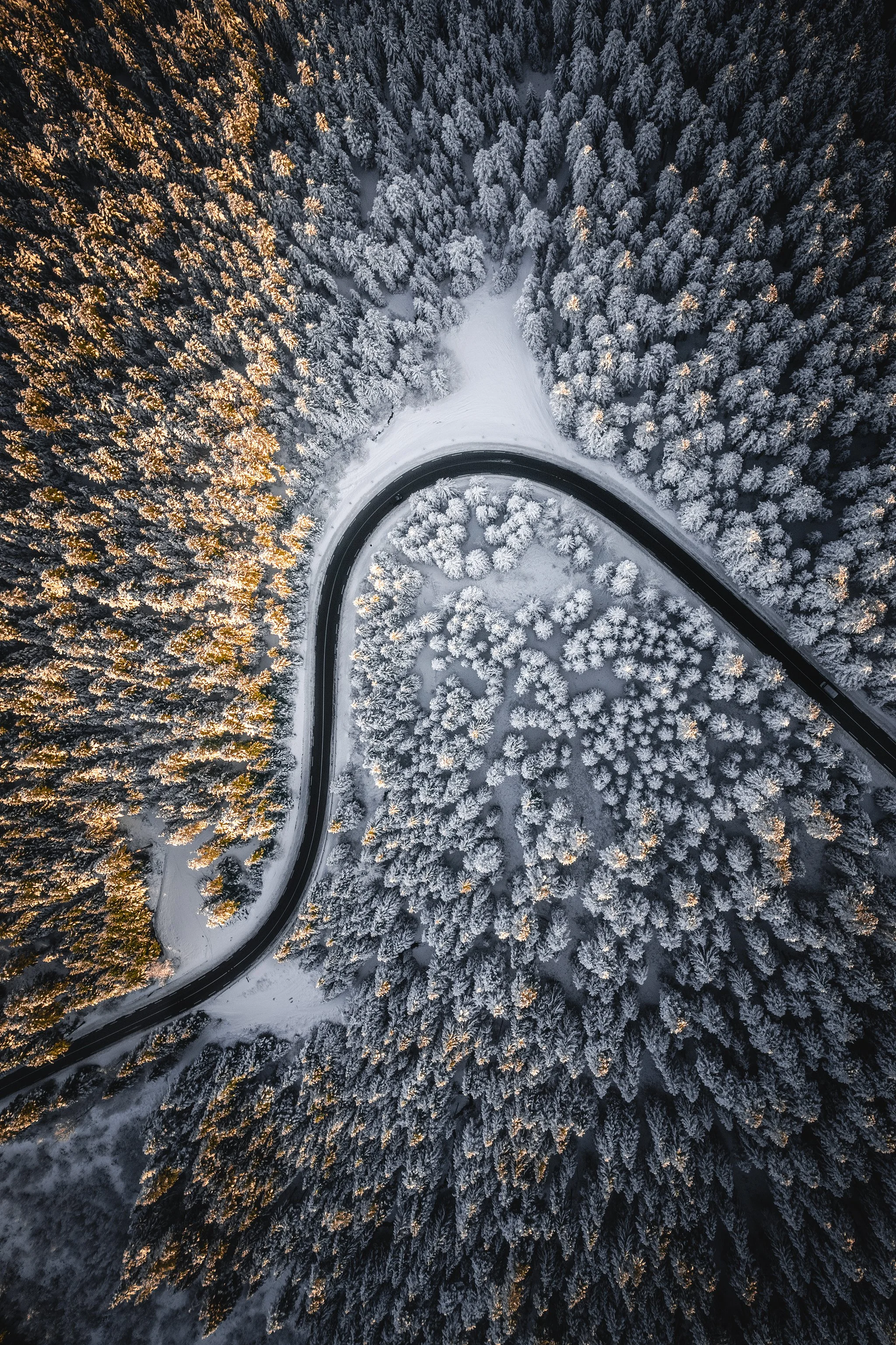 Loire - TopDown Neige Pilat.jpg