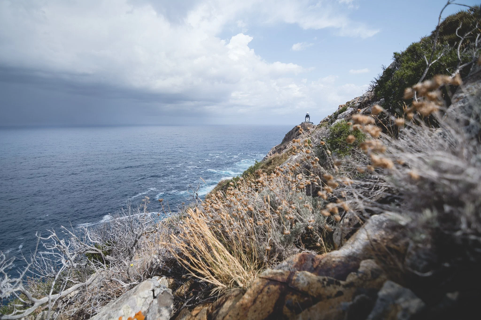 Corse-Revellata .jpg